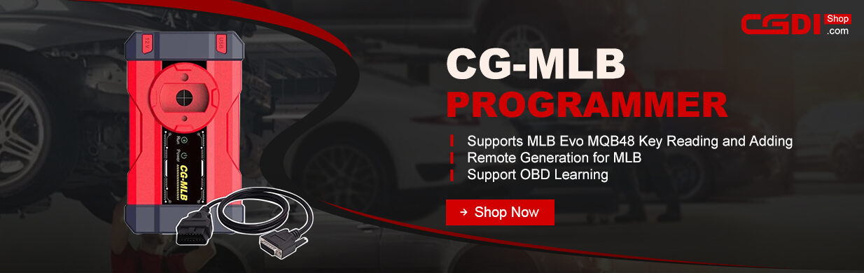 cg-mlb programmer cg-mlb programmer